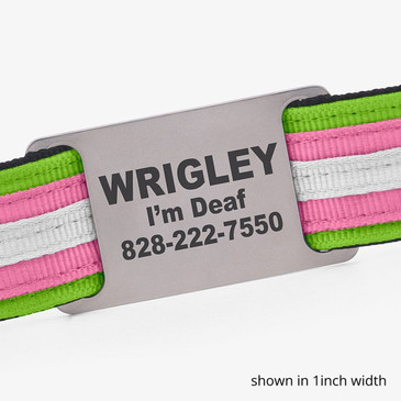 Leash showing name plate